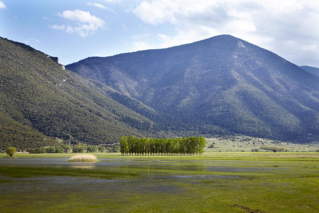Hyades Mountain Resort Kato Sinikia Trikalon Luaran gambar